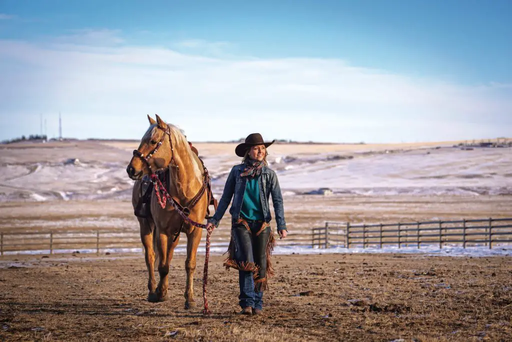 when is season 15 of heartland coming out on netflix